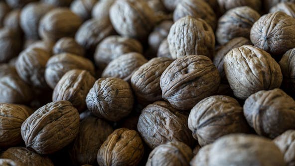 E. coli outbreak linked to organic walnuts, recall issued, says CDC