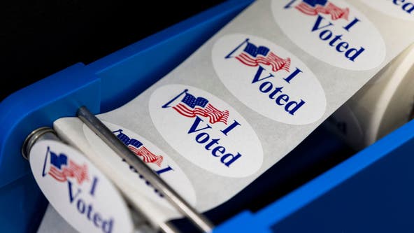 VOTER'S GUIDE: What's on the ballot & where to vote during early voting for May 4 elections