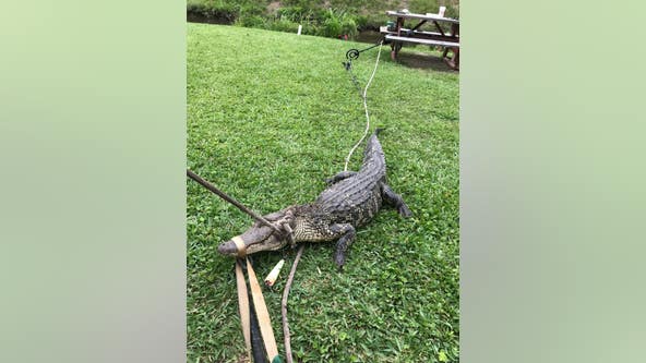 Texas City man fishing for alligator gar reels in quite the surprise