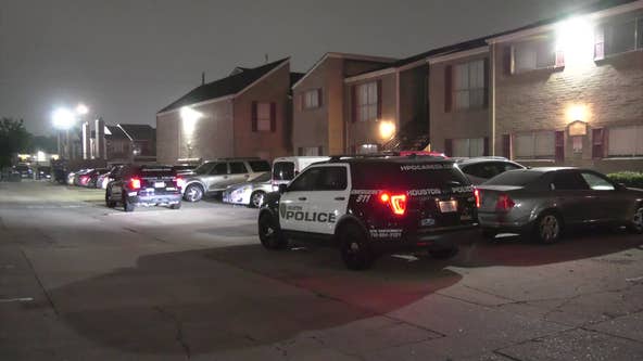 Houston man shot suspects who reportedly tried to get in his car at apartment complex: police