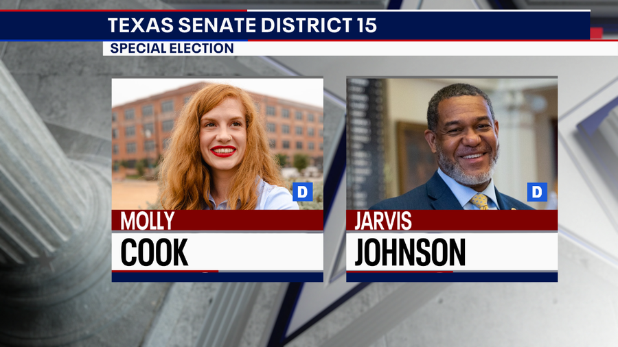 Meet the candidates for Texas Senate District 15