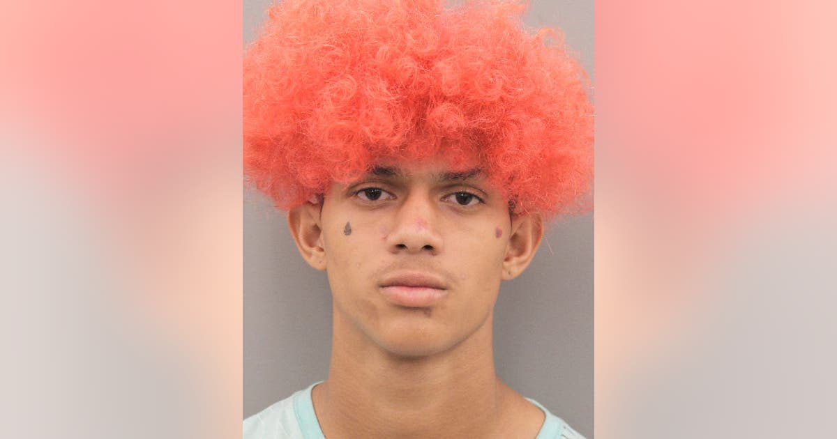 Houston man pleads guilty to murder of transgender woman, receives life ...