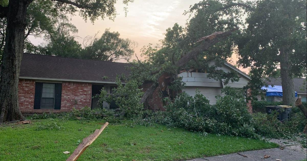 Teenager injured after tree crashes into Spring home | FOX 26 Houston