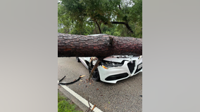 Houston storm damage: Photos, videos show severe weather destruction