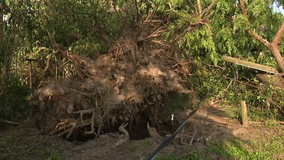 Houston-area ranch struggles after storm knocks out power, water for horses