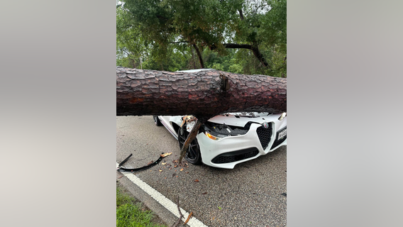 Houston storm damage: Photos, videos show severe weather destruction