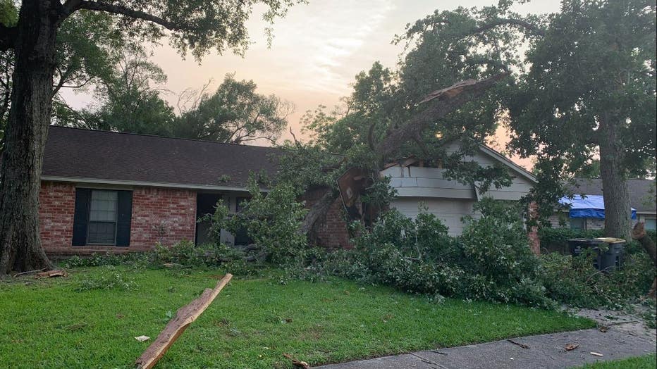 Tree into house in Spring