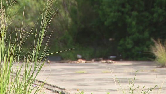 Four dogs killed, carcasses staged in Spring, Montgomery County officials say