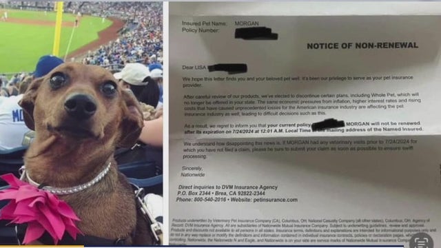 Nationwide Pet Insurance policy cancellations leaves sick pets hanging, owners devastated