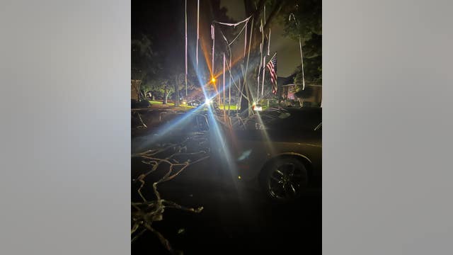 Friendswood mom arrested in toilet paper, vandalism spree with minors