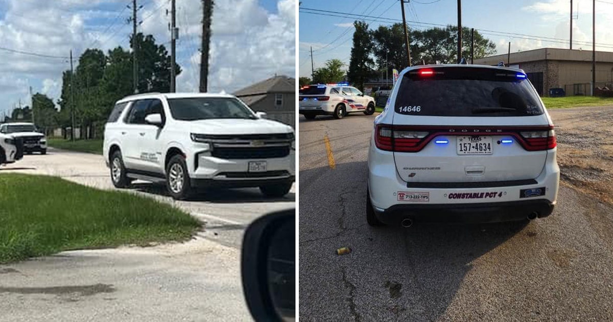 Woman found dead in Harris County ditch was the result of hit-and-run ...