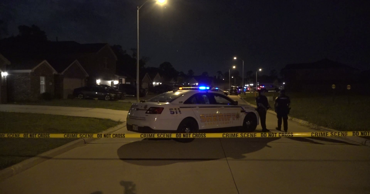 Houston crime: Woman found dead with multiple stab wounds in backyard ...