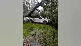 Hurricane Beryl images: A look at damage in southeast Texas