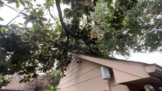 Houston residents frustrations mounting as power outage enters fifth day