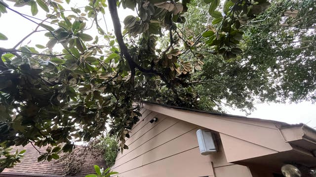 Houston residents frustrations mounting as power outage enters fifth day