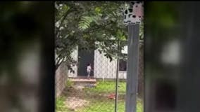 Conroe daycare under investigation after video shows child crying alone outside