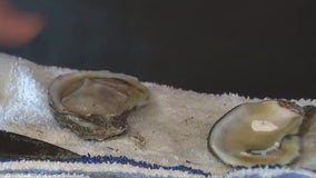 National Oyster Day: Learn to shuck oysters at Josephine's