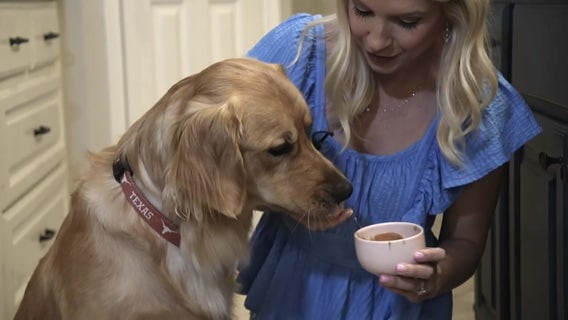 Allison's Cooking Diary: Frozen yogurt dog treats