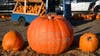 Pumpkin patches, Fall festivals around Houston