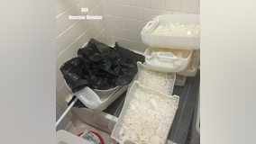 DEA Houston Division make 'significant' drug seizure in North Houston, 2 men arrested