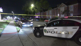 Houston shooting: Man fatally shot after altercation on sidewalk