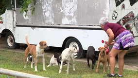 Dog lover loses home in fire, community rallies to care for pets