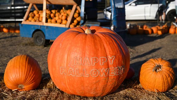 Pumpkin patches, Fall festivals around Houston
