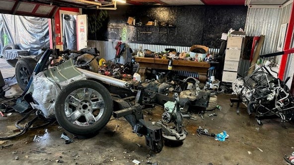 Harris County deputies discover chop shop operation site