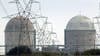 Texas looks into expansion of nuclear energy