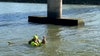 Chihuahua rescued from pedestrian bridge on Sims Bayou channel: video