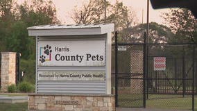 Volunteers say new euthanasia policy at a Harris County Shelter is leading to adoptable pets being killed