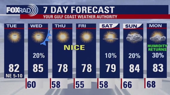 Houston weather forecast for Nov. 12, 2024