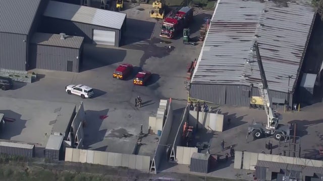 PANS and PANDAS: Autoimmune disease awareness could save children's lives