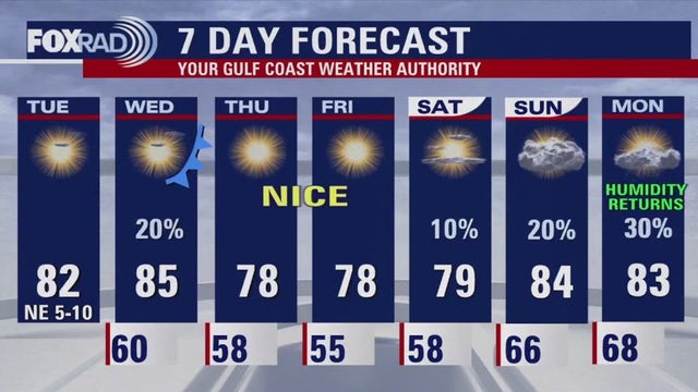 Houston weather forecast for Nov. 12, 2024