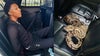 Male suspect arrested with three pythons, firearm, and illegal narcotics