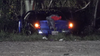 Woman dies after vehicle crashes into trees