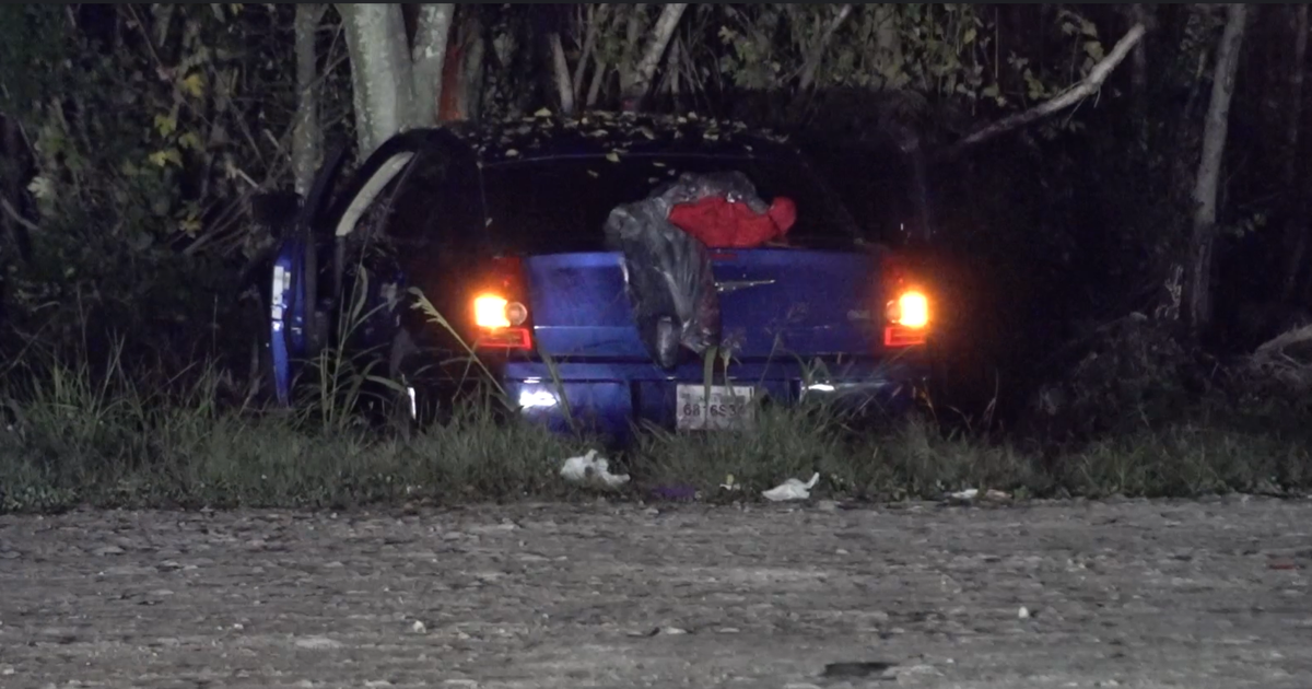 Woman dies after vehicle crashes into trees | FOX 26 Houston