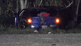 Woman dies after vehicle crashes into trees