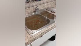 Elderly Alief resident endures months of sewage flooding in apartment