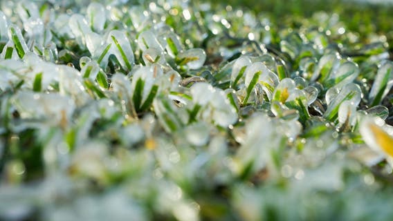 When is the first day of winter?