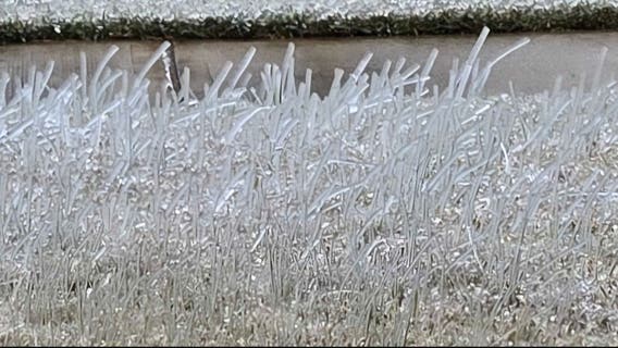 ERCOT issues Transmission Emergency in South, Southeast Texas