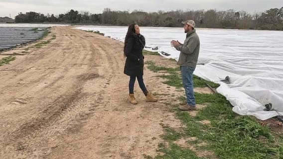 Froberg Farm shares the importance of protecting crops during winter