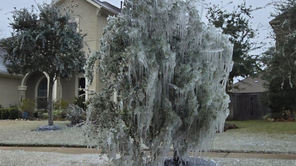 Ice covers tree, grass in northeast Houston due to broken pipe