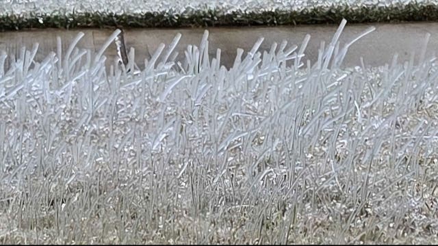 ERCOT issues Transmission Emergency in South, Southeast Texas