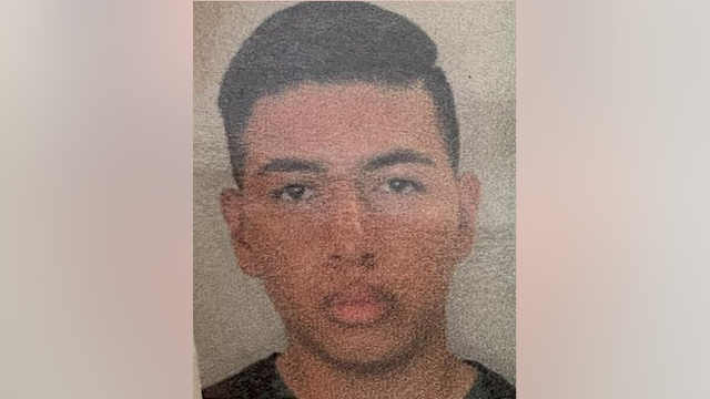 Shadow River Lane dog attack: Pitbull attacks 8-year-old boy in Harris County