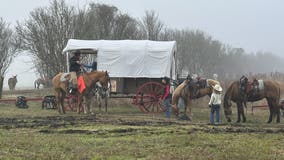 Houston trail rides maps: 11 groups riding to city ahead of rodeo parade