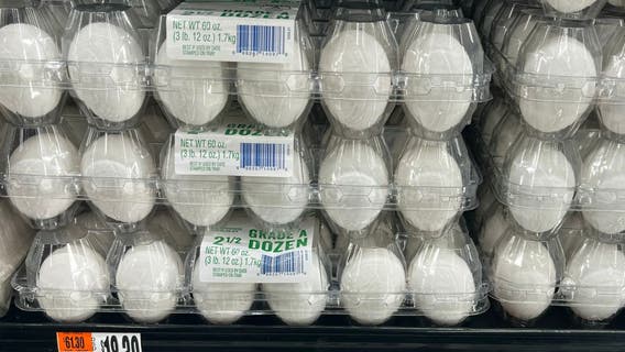 Share your store's egg prices with FOX 26