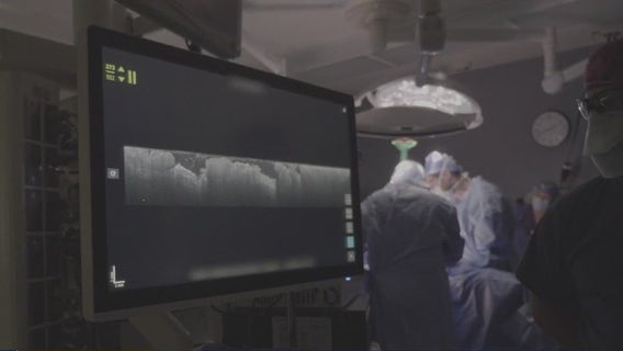 Breast cancer treatment advancements emerge from Baylor College of Medicine