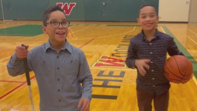 Fighting for sight with Twin-to-Twin Transfusion Syndrome