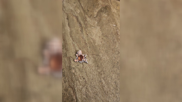 Washington Avenue residents demand action against rising crime after shooting leaves stray bullets in a home